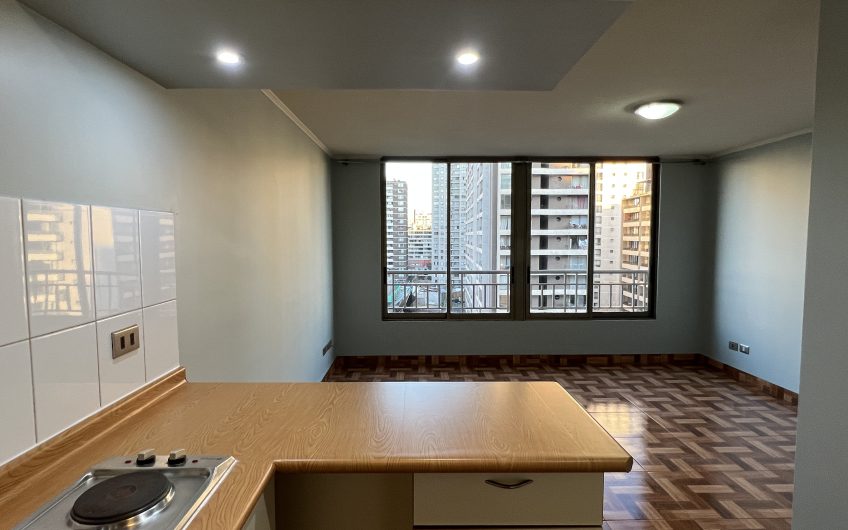 Departamento un ambiente – Santa Isabel 199 – SANTIAGO