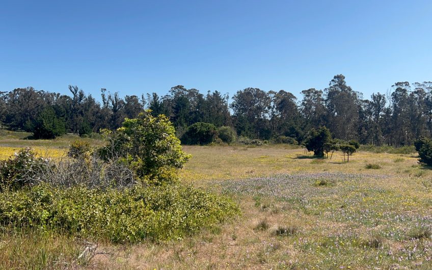 Terreno Urbano Algarrobo – 6,9 Has – Aptitud Habitacional, Comercial, Turístico. – 1,29 UF Mt2